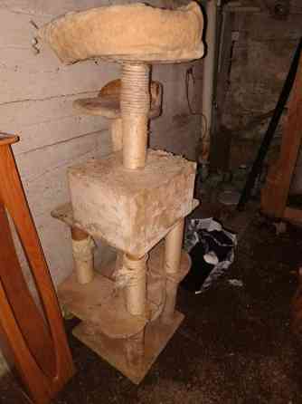 170cm korkea iso kissan leikki paikka Tampere