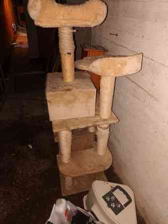 170cm korkea iso kissan leikki paikka Tampere