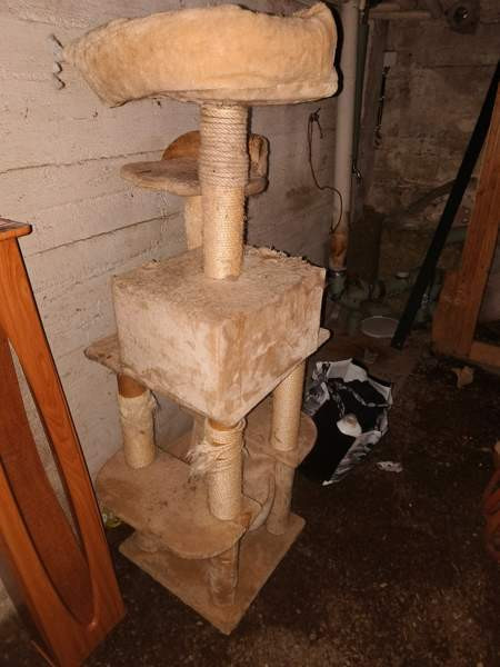 170cm korkea iso kissan leikki paikka Tampere - photo 2