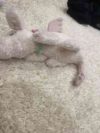 Top model lasten pehmolelu lohikäärme. Kiiltosilmäinen Pori