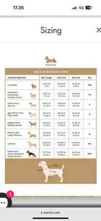 Tommy Hilfiger koirat valjaat Kauhajoki