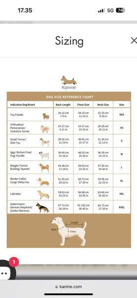 Tommy Hilfiger koirat valjaat Kauhajoki - photo 4