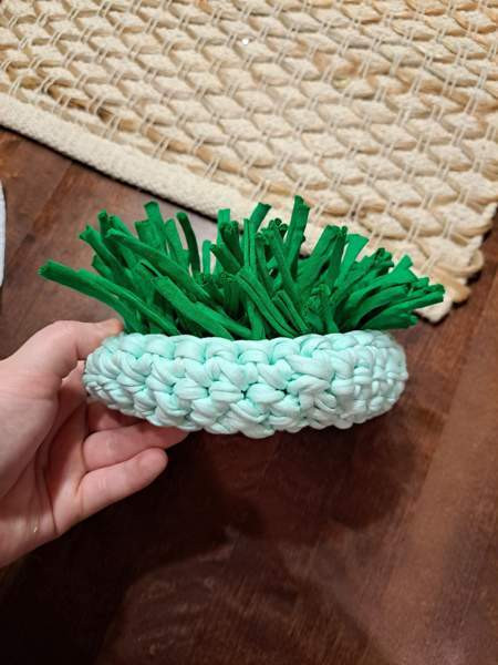 Nuuskukori Mikkeli - valokuva 4