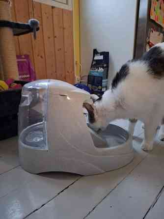 Vesiautomaatti - kissalle Lohja