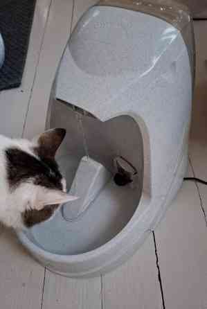 Vesiautomaatti - kissalle Lohja