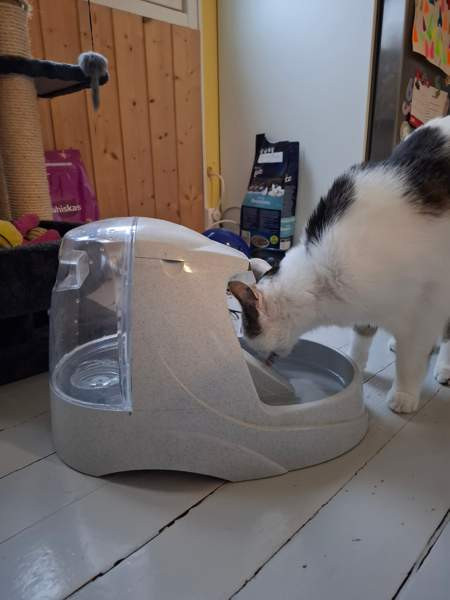 Vesiautomaatti - kissalle Lohja - valokuva 2