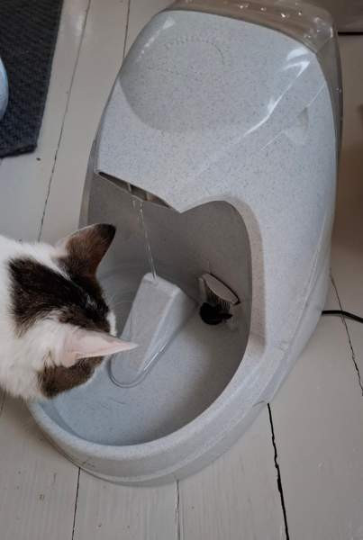 Vesiautomaatti - kissalle Lohja - valokuva 3