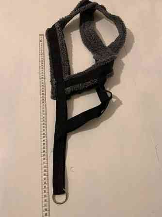 Koiran Valjaat iso koko Kuopio