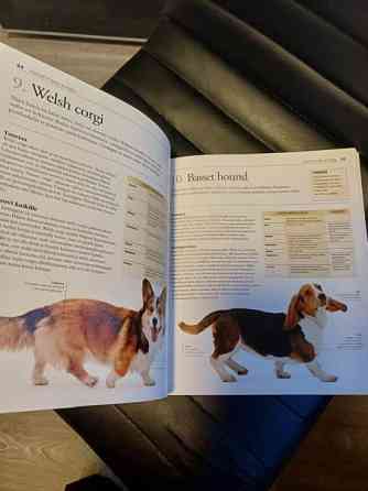 Erittäin kattava koirakirja Raisio