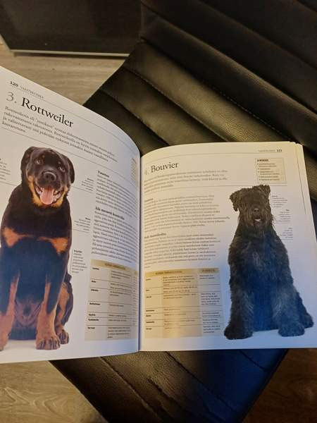Erittäin kattava koirakirja Raisio - valokuva 3