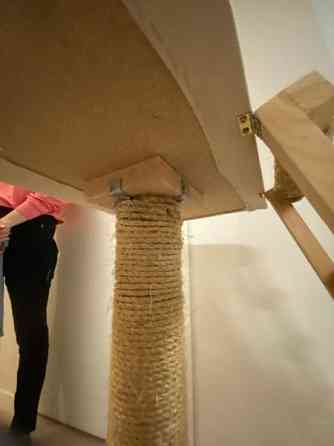 Raapimispuu Jyvaeskylae