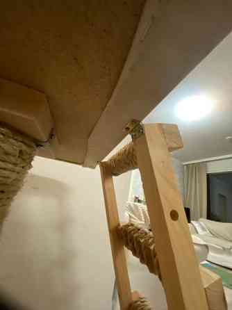 Raapimispuu Jyvaeskylae