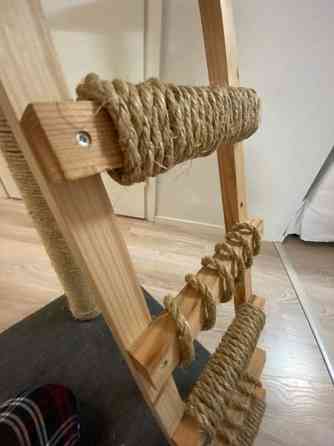 Raapimispuu Jyvaeskylae