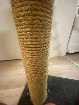 Raapimispuu Jyvaeskylae