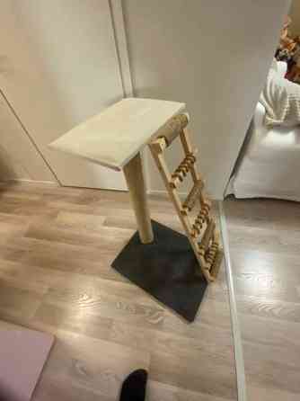 Raapimispuu Jyvaeskylae