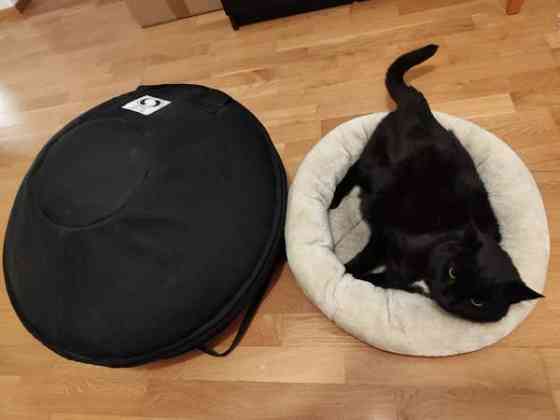 Handpan / Cupola Oulu