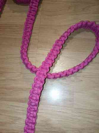 Talutushihnoja Savonlinna