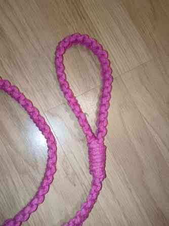 Talutushihnoja Savonlinna