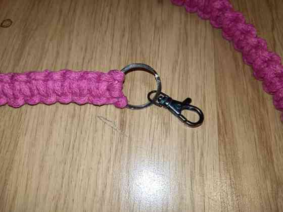 Talutushihnoja Savonlinna