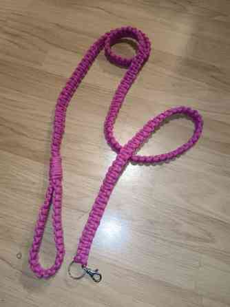 Talutushihnoja Savonlinna