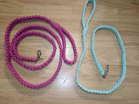 Talutushihnoja Savonlinna