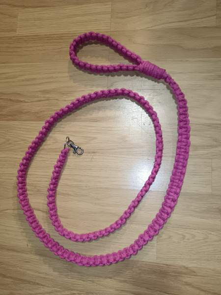 Talutushihnoja Savonlinna – foto 7