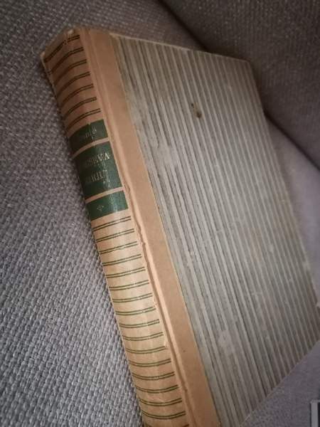 Humiseva harju Haemeenlinna – foto 3