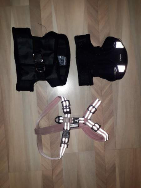 Koiranpennun tarvikkeita Lahti – foto 4