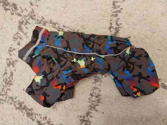 For My Dogsin talvihaalari Valkeakoski