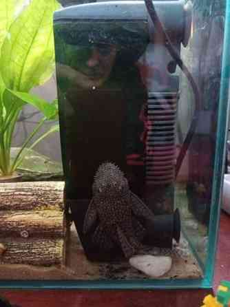 8  kpl Partamonneja Hamina