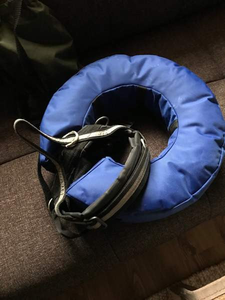 Koiralle Boxi ym Nokia - valokuva 7