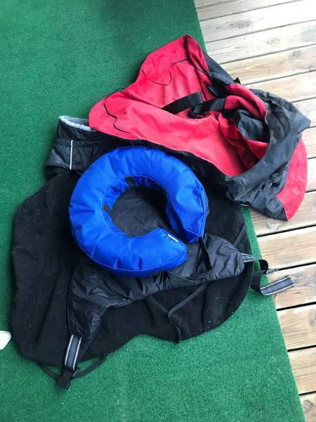 Koiralle Boxi ym Nokia - valokuva 5