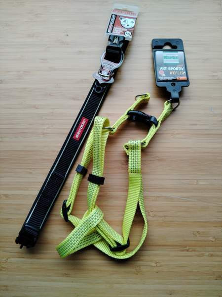 Pienen koiran panta ja valjaat Turku - valokuva 1