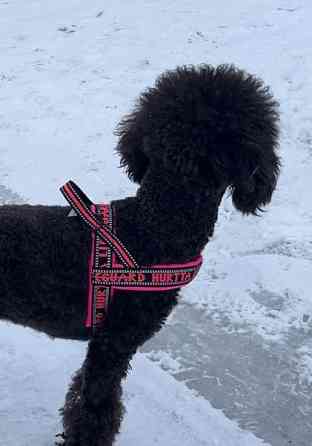 Hurtta lifeguard valjaat 35 Tampere