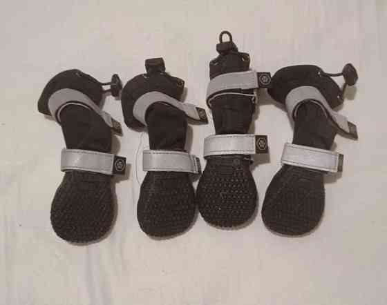 Spark Paws pienen koiran tossut Helsinki