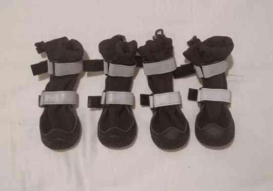 Spark Paws pienen koiran tossut Helsinki