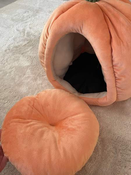 Kissan peti Kempele - изображение 2