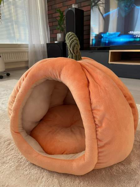 Kissan peti Kempele - изображение 1