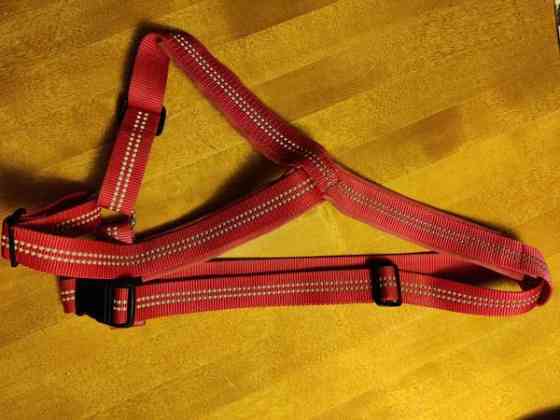 Best Friend Gear koiran heijastavat Y-valjaat koko L Toivakka