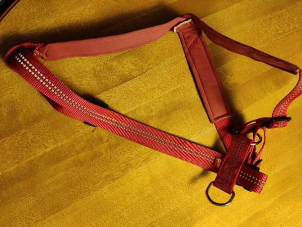 Best Friend Gear koiran heijastavat Y-valjaat koko L Toivakka - изображение 1