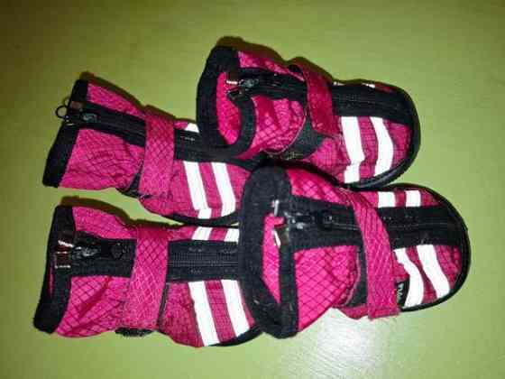 Rukka step koiran tossut koko 7 Helsinki