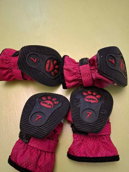 Rukka step koiran tossut koko 7 Helsinki – foto 2