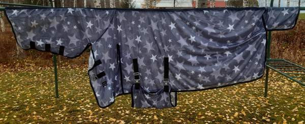 Ötökkäloimia Pieksämäki - valokuva 1