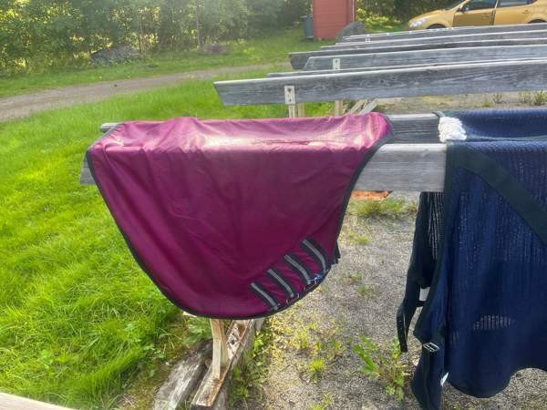 Loimet Hämeenkyrö - valokuva 1