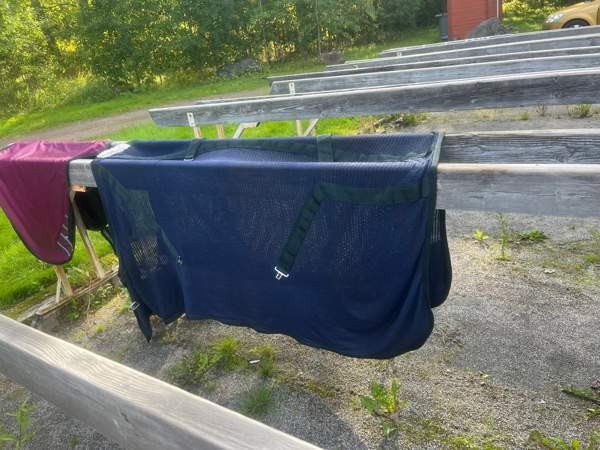 Loimet Hämeenkyrö - valokuva 3