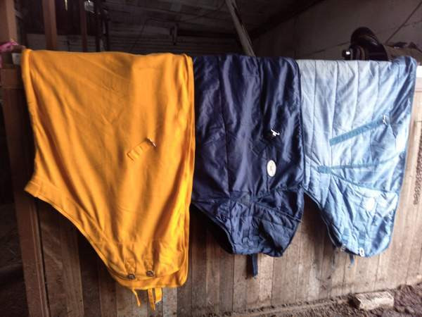 165 koon loimia Harjavalta - photo 1