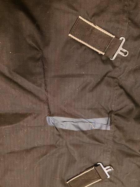 Horse comfort toppaloimi Keminmaa - valokuva 1