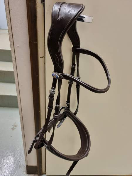 PS of Sweden suitset Savonlinna - valokuva 2