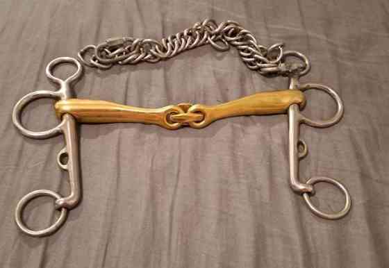 Neue Schule Turtle Taction Pelham kuolain Jyvaeskylae