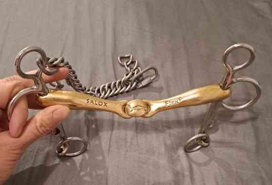 Neue Schule Turtle Taction Pelham kuolain Jyvaeskylae